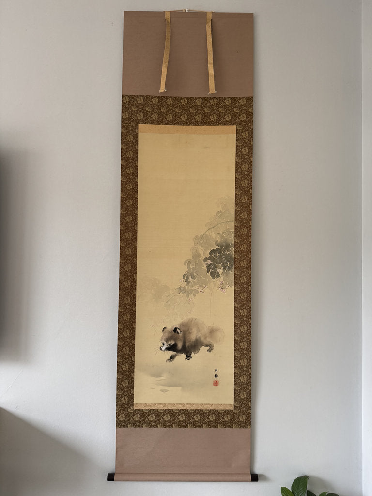 tanukiページ Japanese Tanuki Scroll - Raccoon Dog Wisteria Nihonga Kakemono