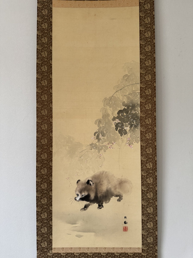 Vintage Japanese Hanging Scroll - Tanuki Running Under Wisteria - Shijō Jūga - Signed Genpaku - Japanese Raccoon Dog Folk Spirit