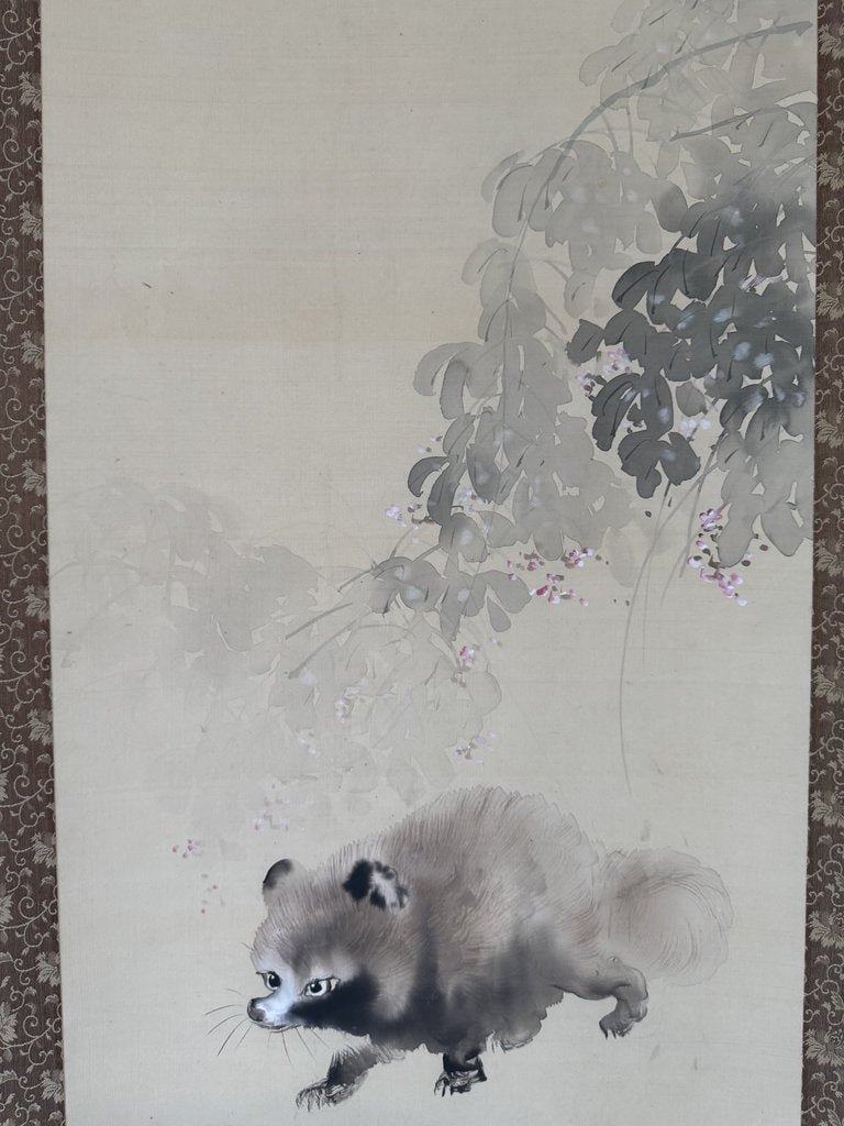 Vintage Japanese Hanging Scroll - Tanuki Running Under Wisteria - Shijō Jūga - Signed Genpaku - Japanese Raccoon Dog Folk Spirit