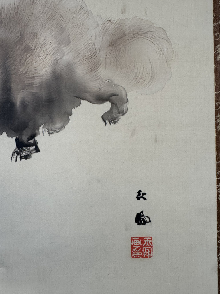 Vintage Japanese Hanging Scroll - Tanuki Running Under Wisteria - Shijō Jūga - Signed Genpaku - Japanese Raccoon Dog Folk Spirit
