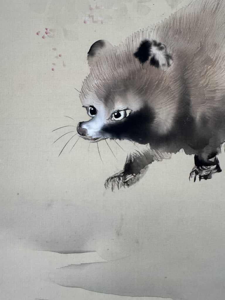 Vintage Japanese Hanging Scroll - Tanuki Running Under Wisteria - Shijō Jūga - Signed Genpaku - Japanese Raccoon Dog Folk Spirit