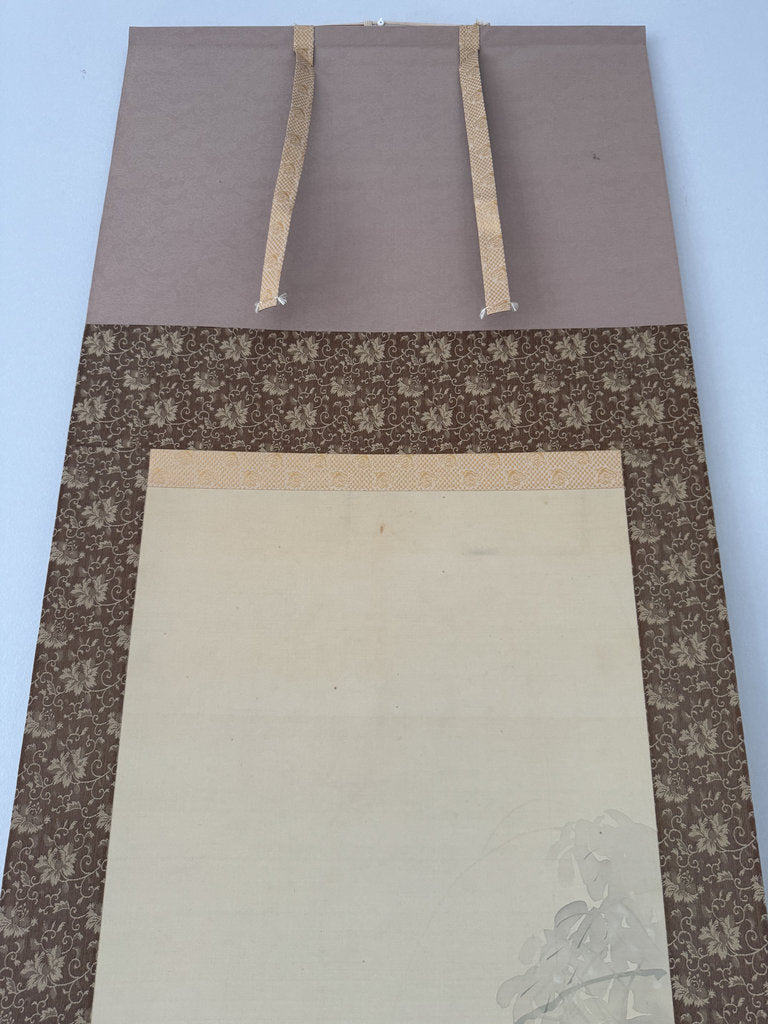 Vintage Japanese Hanging Scroll - Tanuki Running Under Wisteria - Shijō Jūga - Signed Genpaku - Japanese Raccoon Dog Folk Spirit