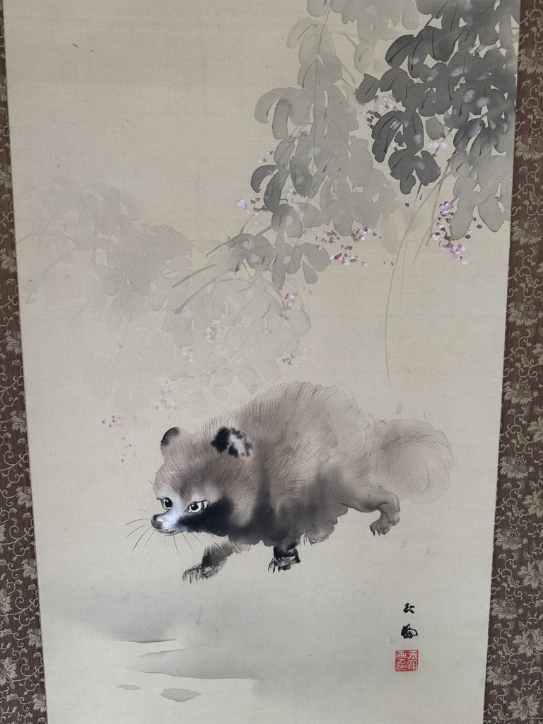 Vintage Japanese Hanging Scroll - Tanuki Running Under Wisteria - Shijō Jūga - Signed Genpaku - Japanese Raccoon Dog Folk Spirit