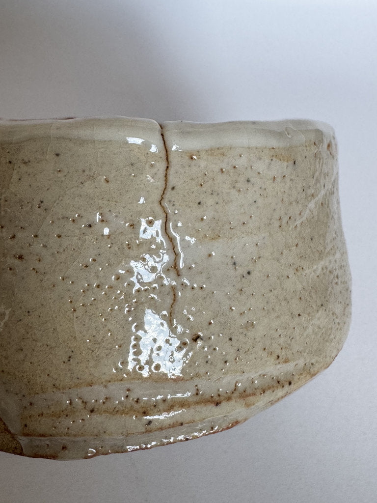 E-Shino Chawan | Bird Motif Iron Underglaze | Kuchikiri Rim Notch | Mino Tradition