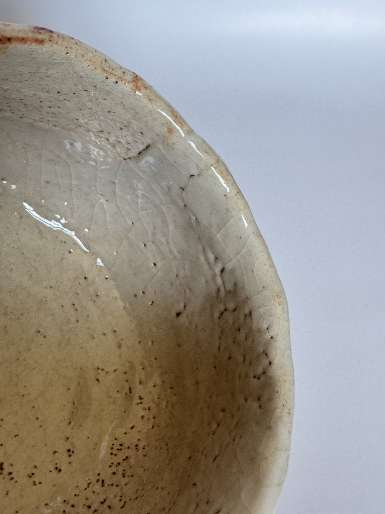 E-Shino Chawan | Bird Motif Iron Underglaze | Kuchikiri Rim Notch | Mino Tradition
