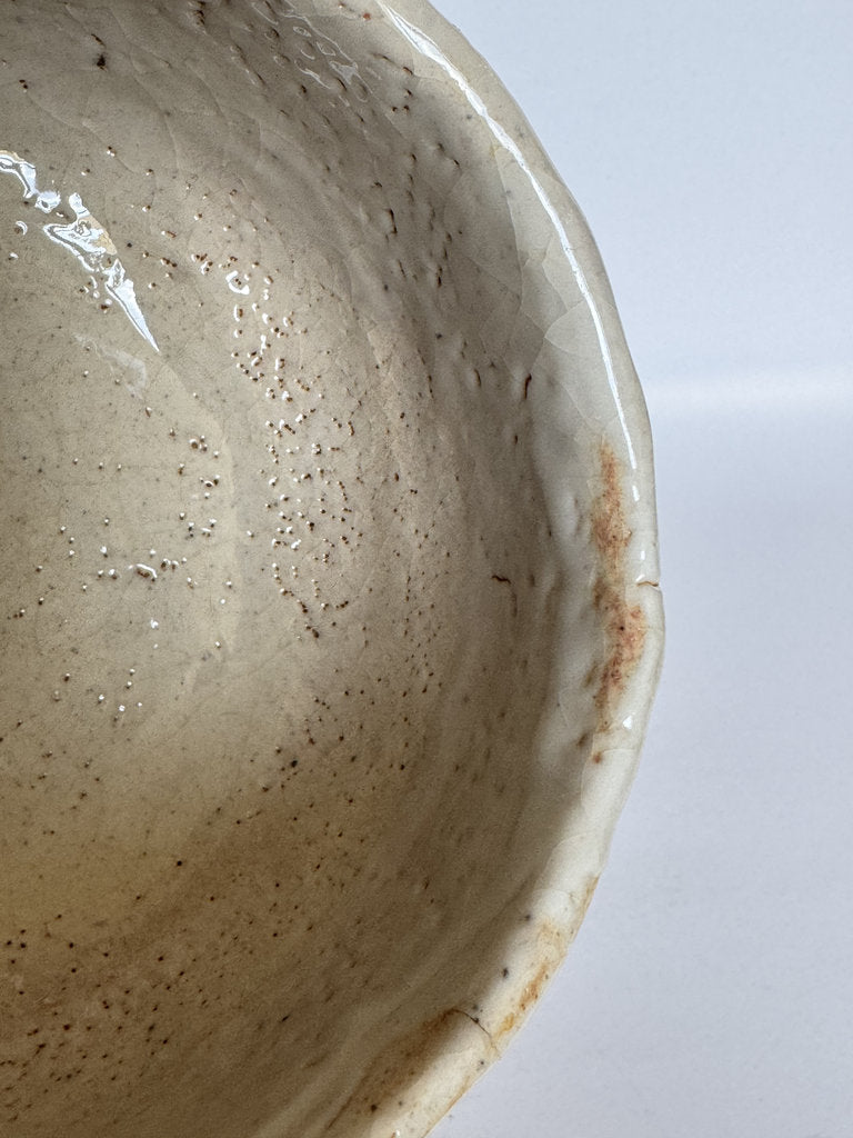 E-Shino Chawan | Bird Motif Iron Underglaze | Kuchikiri Rim Notch | Mino Tradition