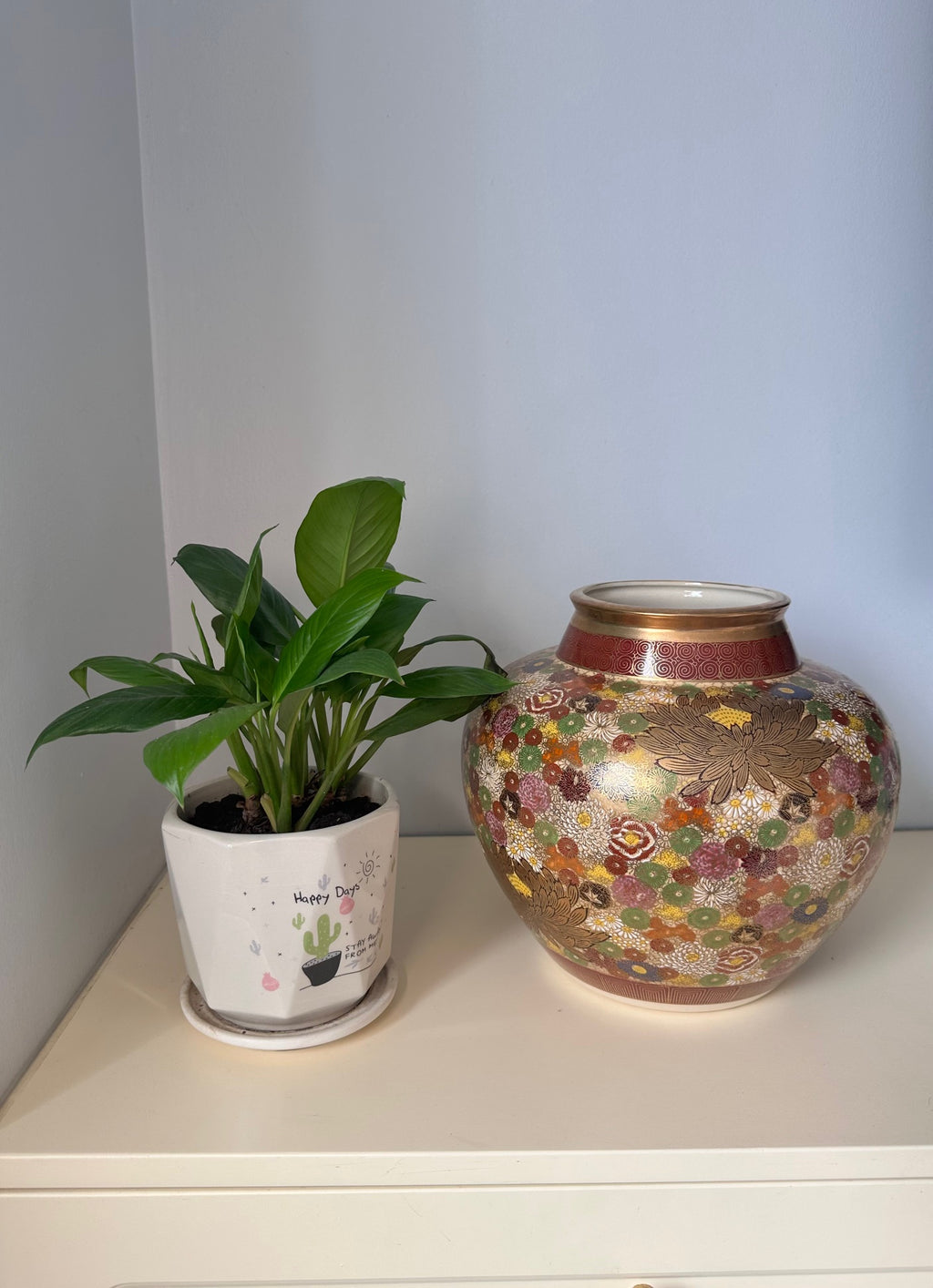 Potted plant and decorative vase on a white surface with a light blue wall background