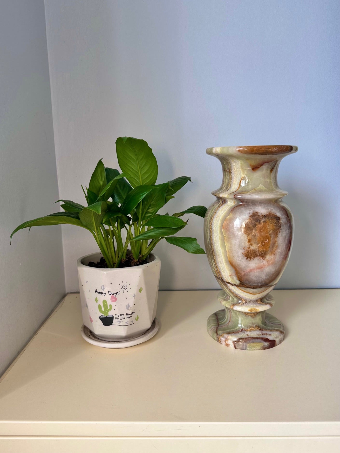 Potted plant and decorative vase on a shelf with a plain background