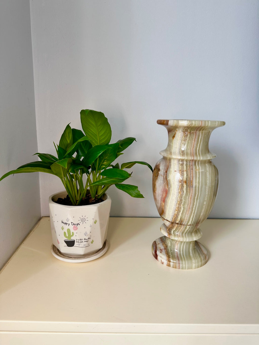 Potted plant and decorative vase on a shelf against a plain wall