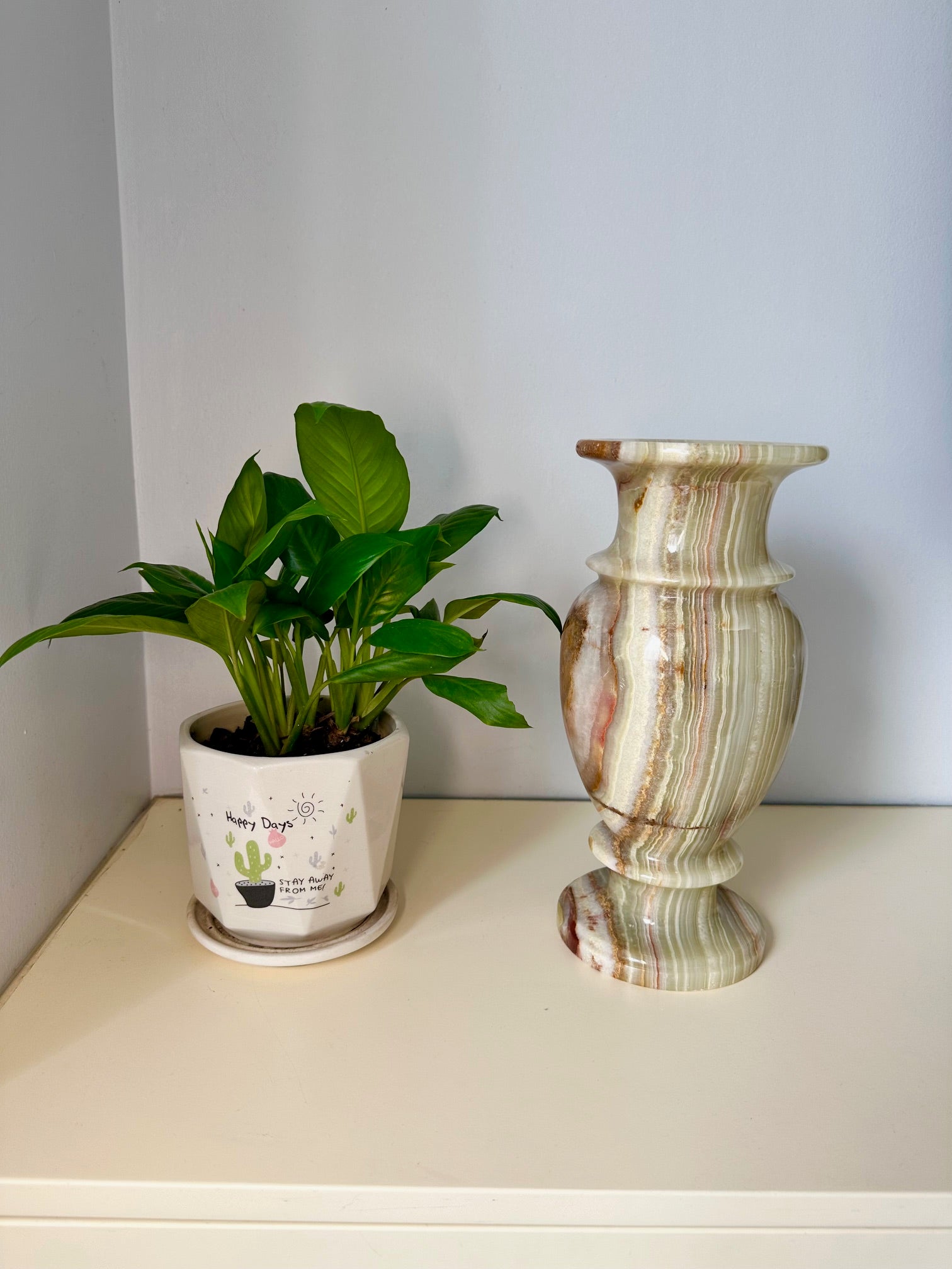 Potted plant and decorative vase on a shelf against a plain wall