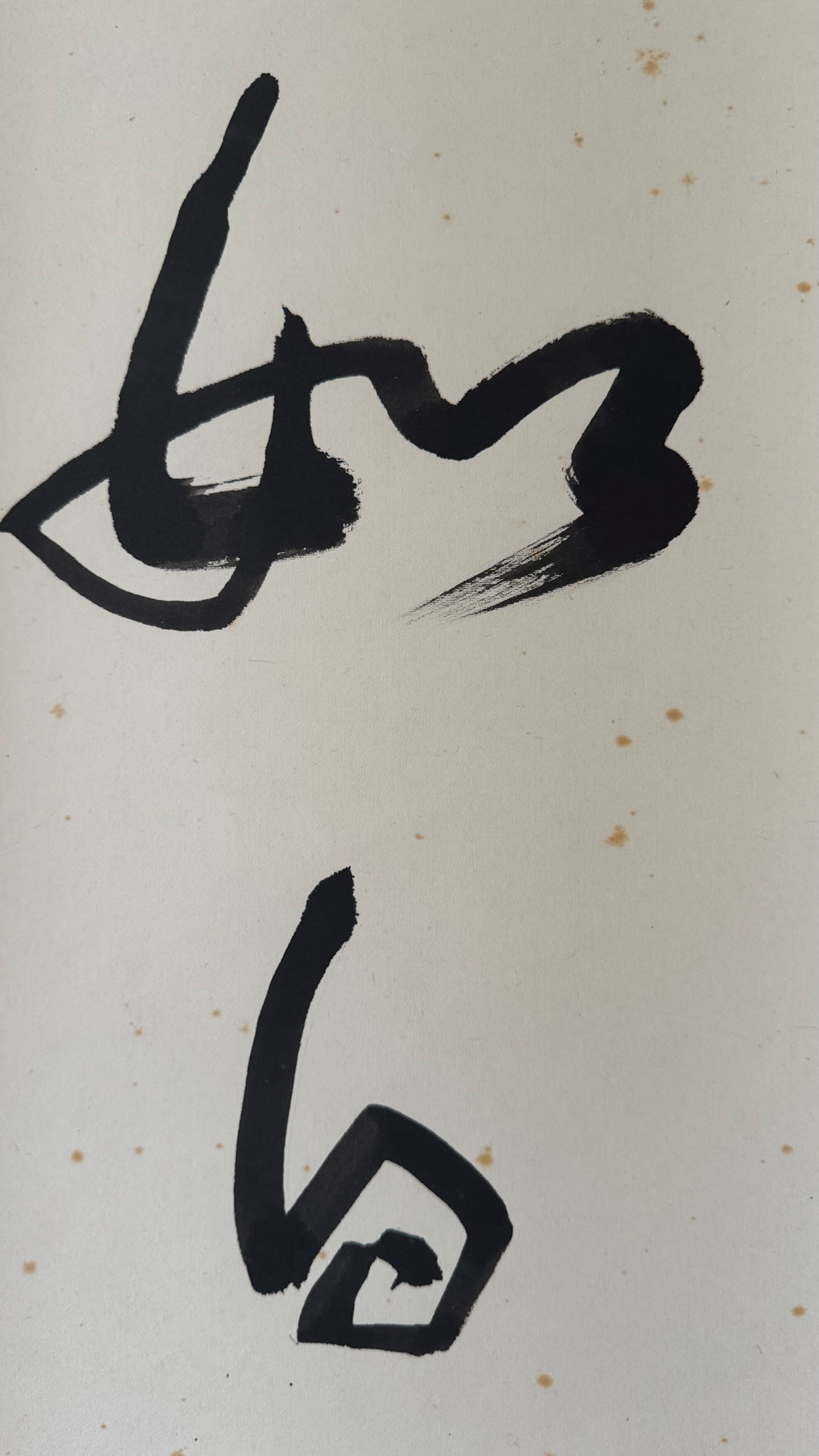 Vintage Japanese Zen Calligraphy Scroll White Cloud Mind Kakemono Art