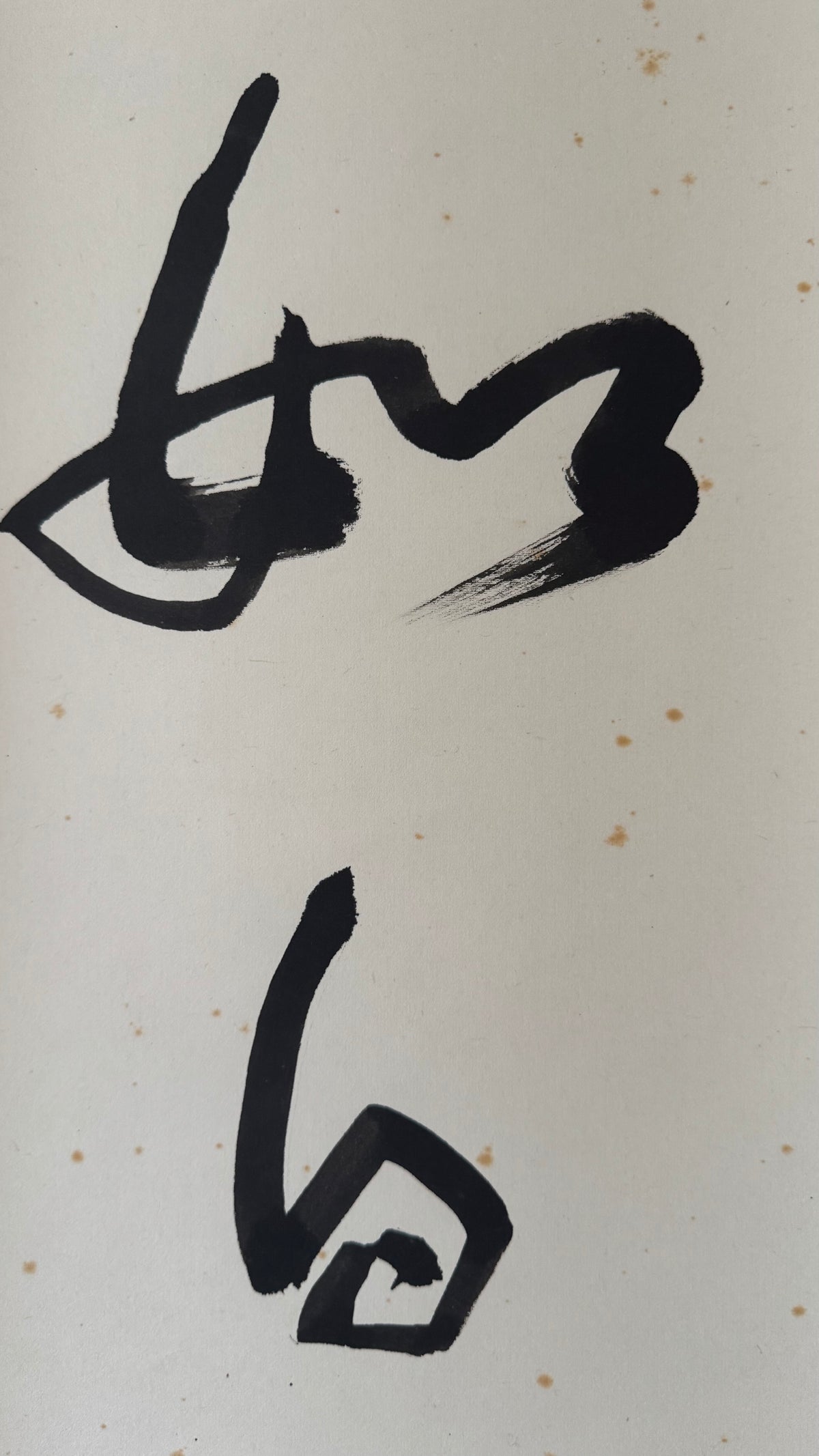 Vintage Japanese Zen Calligraphy Scroll White Cloud Mind Kakemono Art