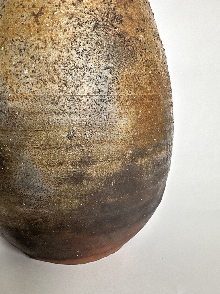 Bizen Yaki Hanaire Vase | Showa Period | Natural Hi-iro Goma Sangiri Anagama Fire