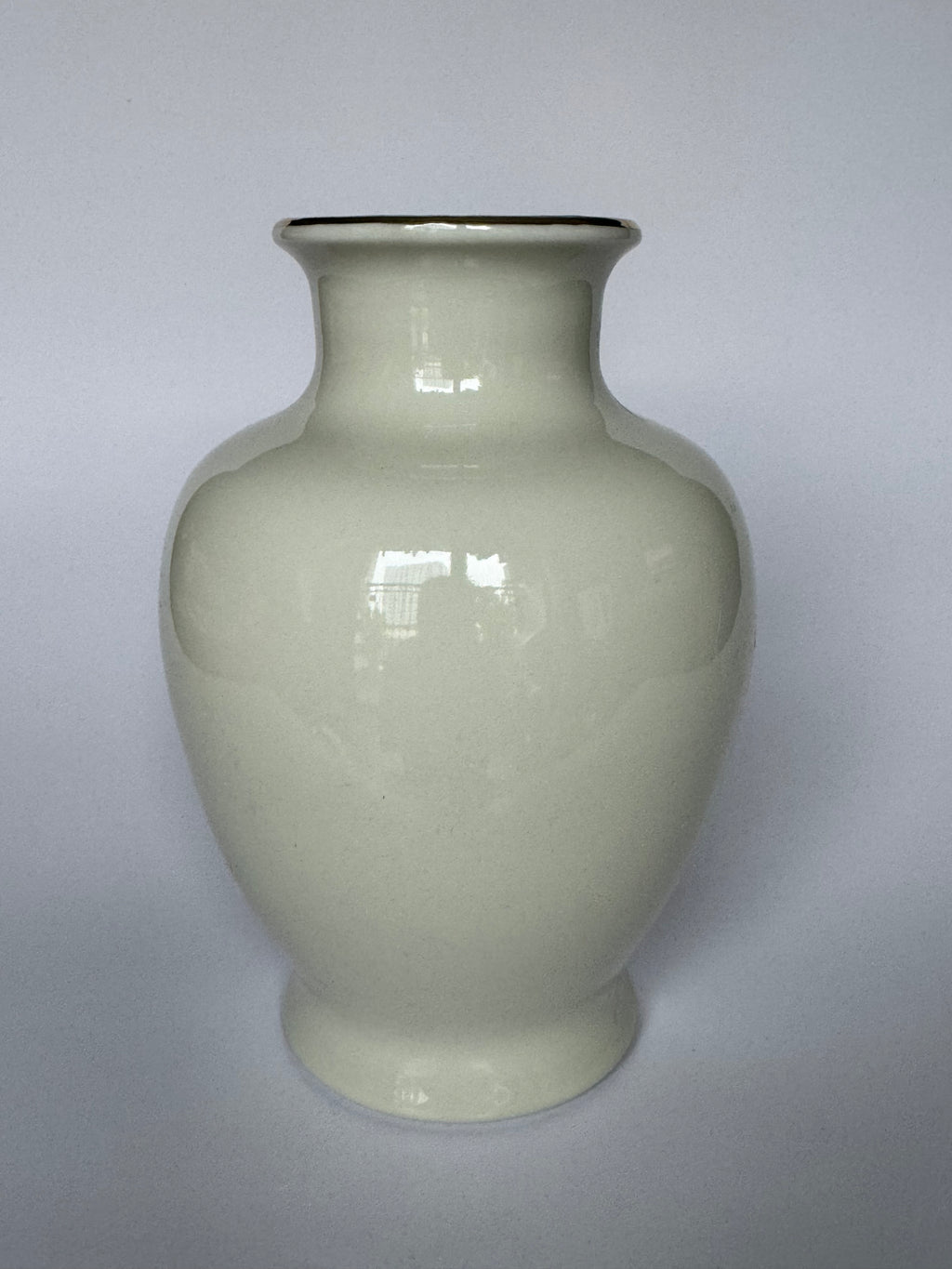 Japanese Maple Leaf Vase - Hand-Painted Ceramic Pottery with Minimalist Autumn Design