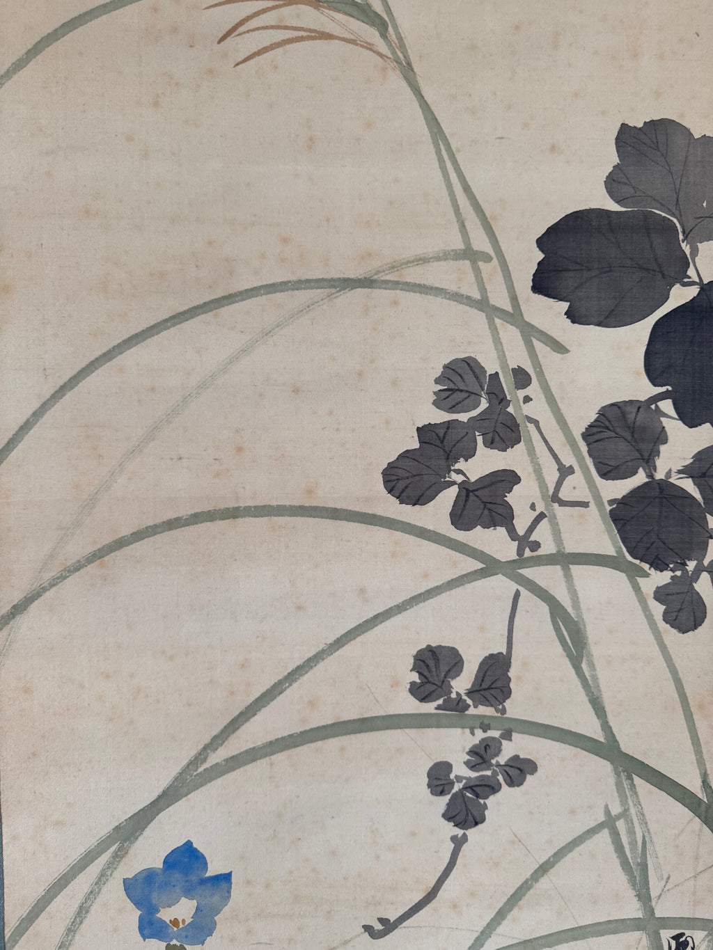 Japanese Flower Calligraphy Hanging Scroll – Autumn Kacho-ga Nihonga Painting by Shuho, Modern Kakemono with Kanshi Poetry
