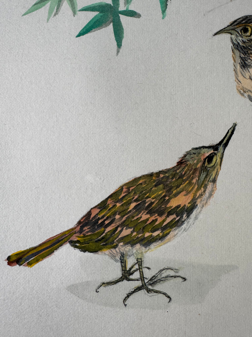 Japanese Kakemono with Two Birds & Maple Leaves – Hand-Painted Nature Hanging Scroll with Calligraphy