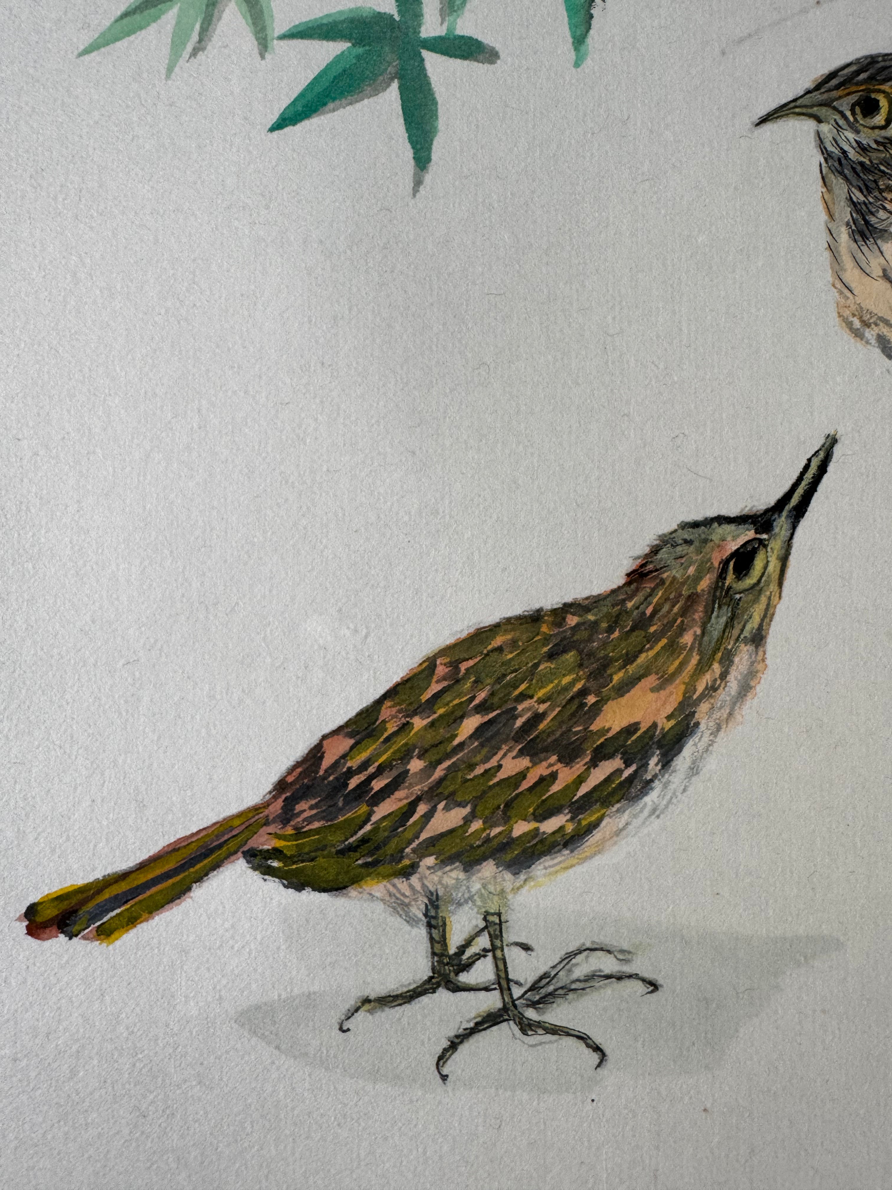 Japanese Kakemono with Two Birds & Maple Leaves – Hand-Painted Nature Hanging Scroll with Calligraphy