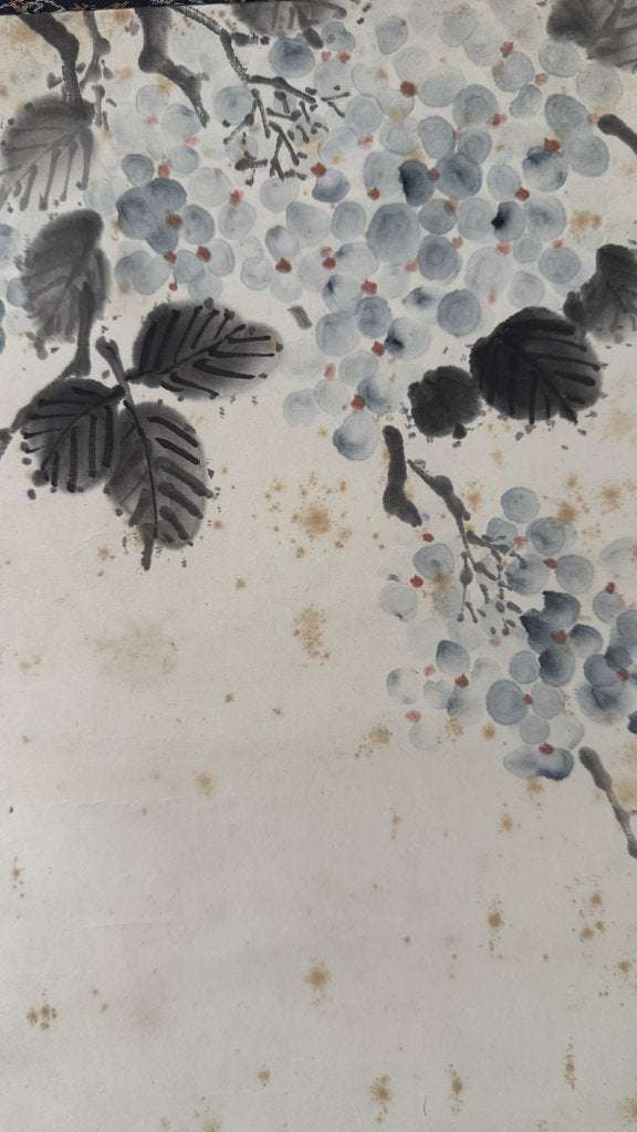 Vintage Japanese Hanging Scroll — Grapes in Ink — Budō-zu Nanga — Signed Haromi — Early 20th Century — Zen Abundance Symbol