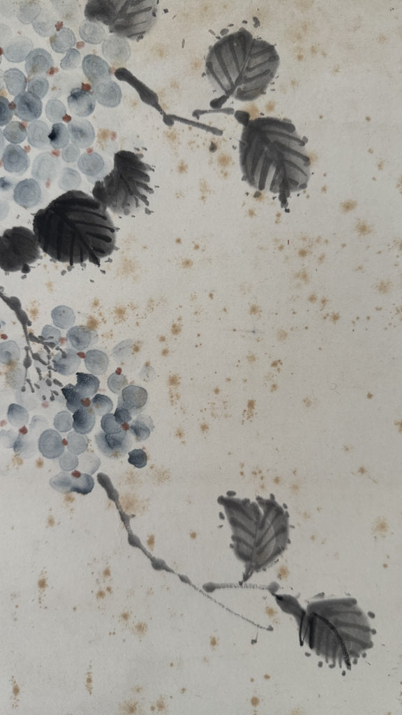 Vintage Japanese Hanging Scroll — Grapes in Ink — Budō-zu Nanga — Signed Haromi — Early 20th Century — Zen Abundance Symbol