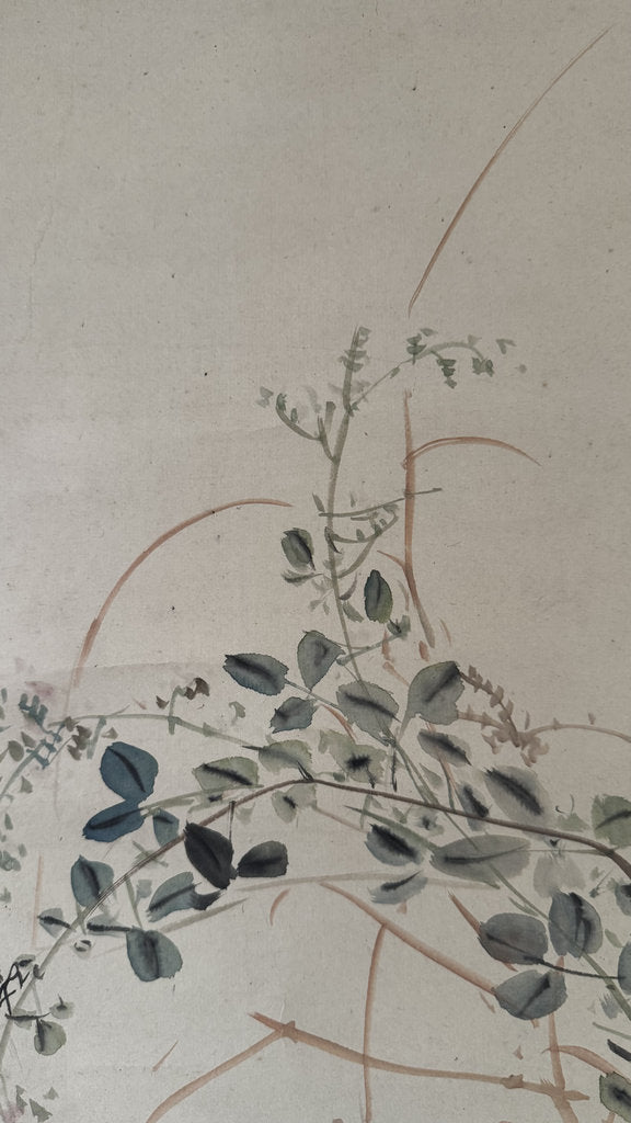 Vintage Japanese Hanging Scroll — Bush Clover, Cricket & Dragonfly — Autumn Hana-Mushi-zu — Shijō Nihonga — Signed Takeru — Hagi Season Poem