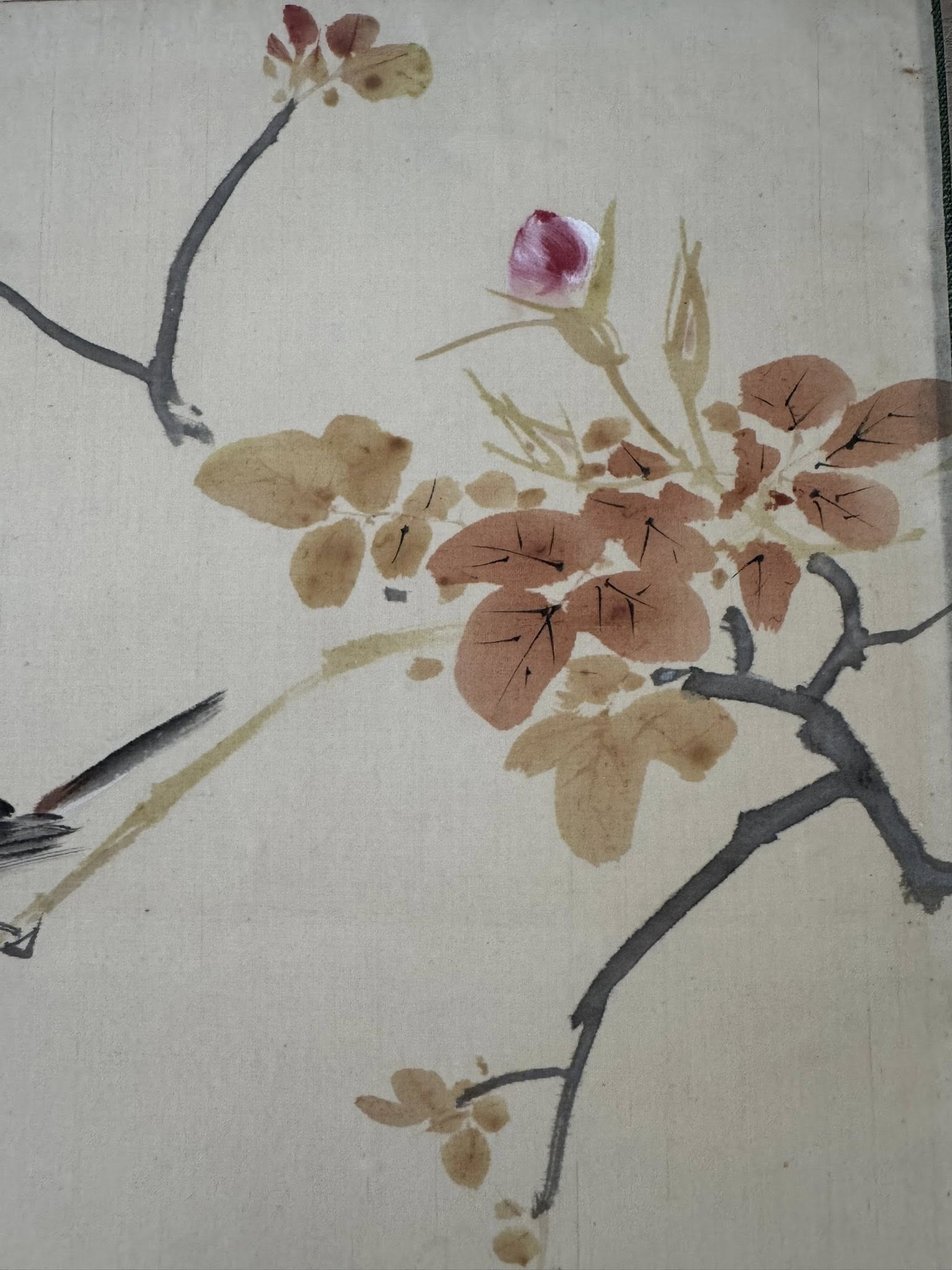 Japanese Kakemono Scroll | Bird & Peony Painting | Hand-Painted Symbol of Grace